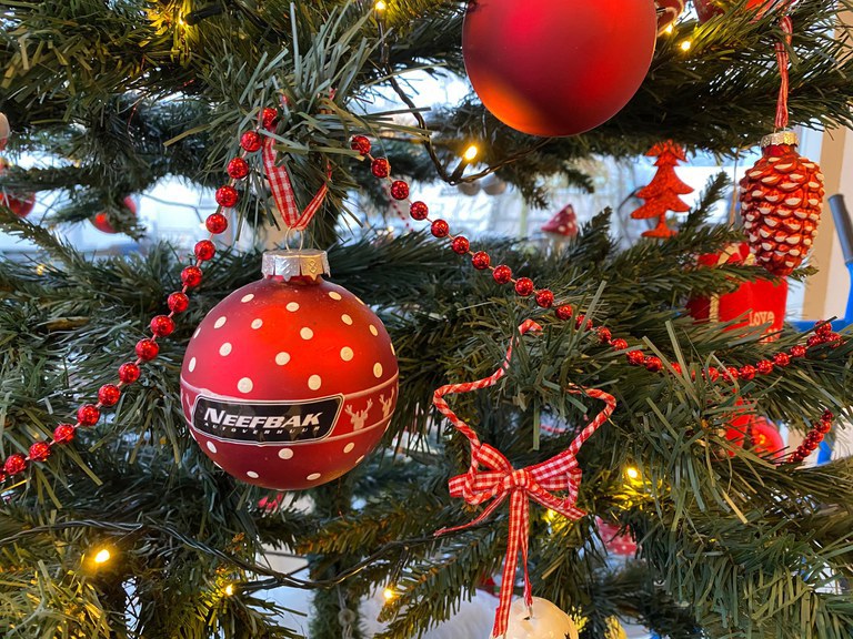 kerst-nfbk.jpeg Holiday Image